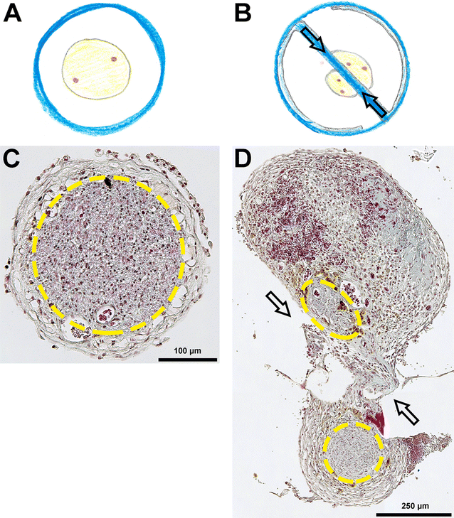 Fig. 5