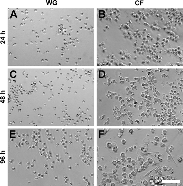 Fig. 8