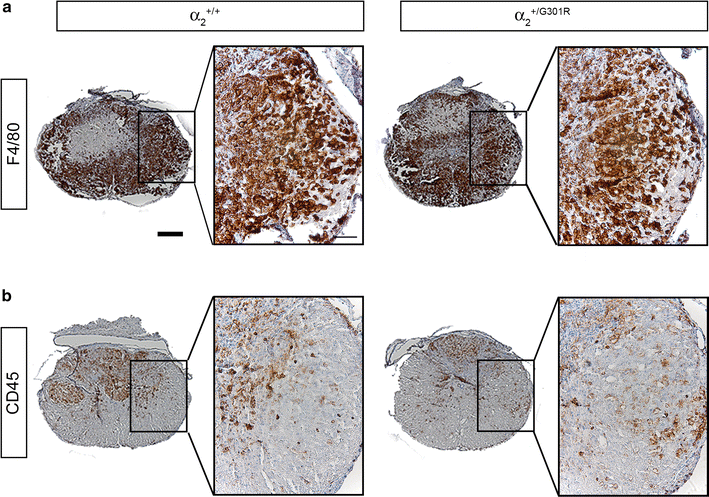 Fig. 7