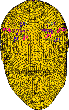 Fig. 2