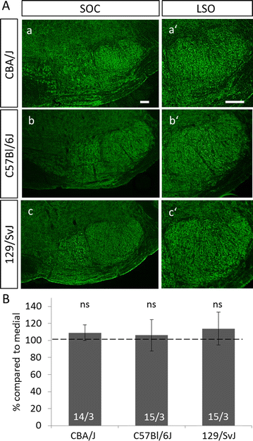 Fig. 6