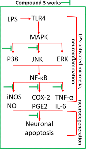 Fig. 6