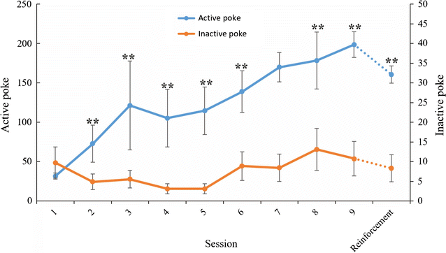 Fig. 1