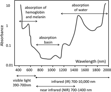 Fig. 1