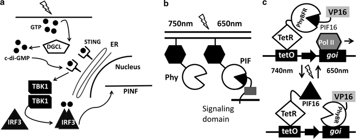 Fig. 4