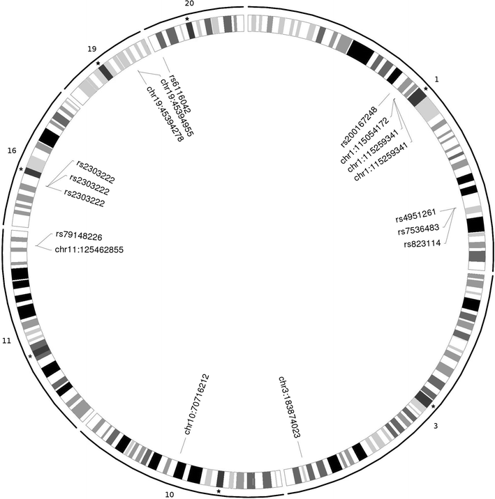 Fig. 2