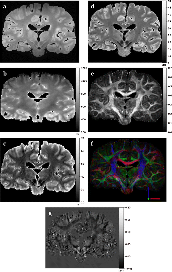 Fig. 8