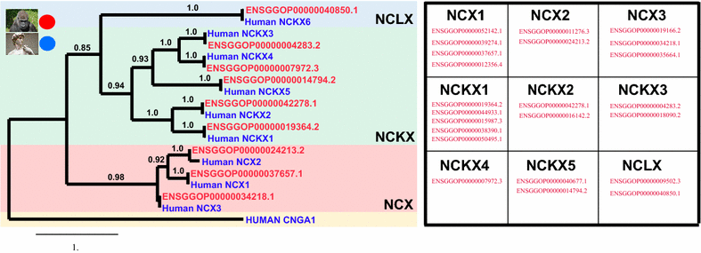 Fig. 4