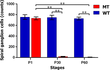 Fig. 7