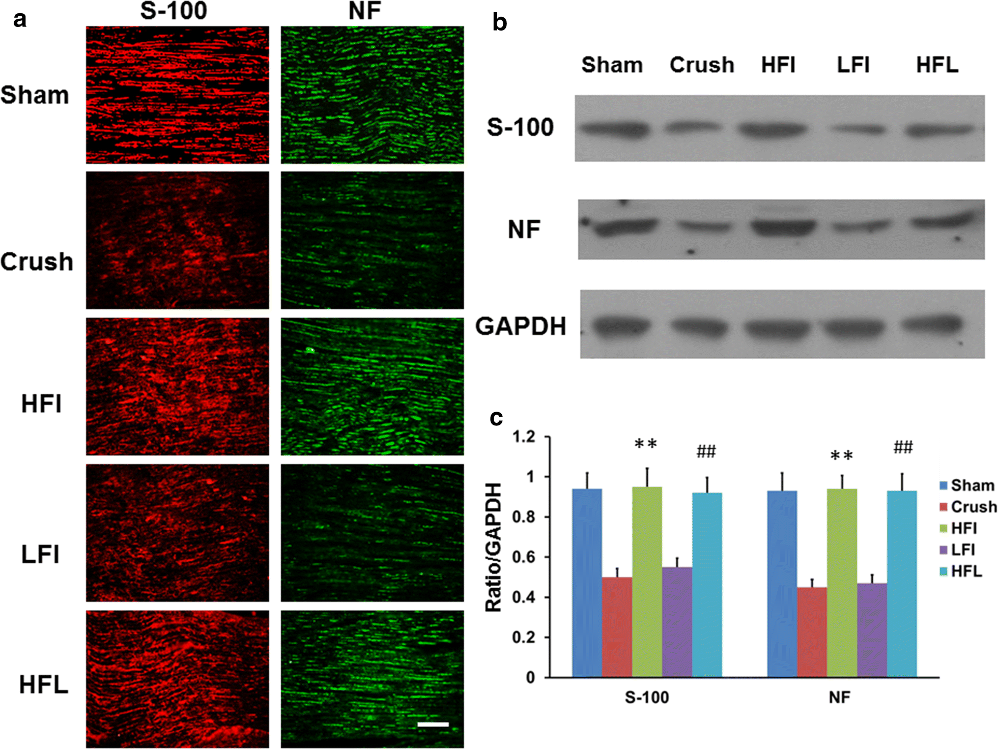 Fig. 2