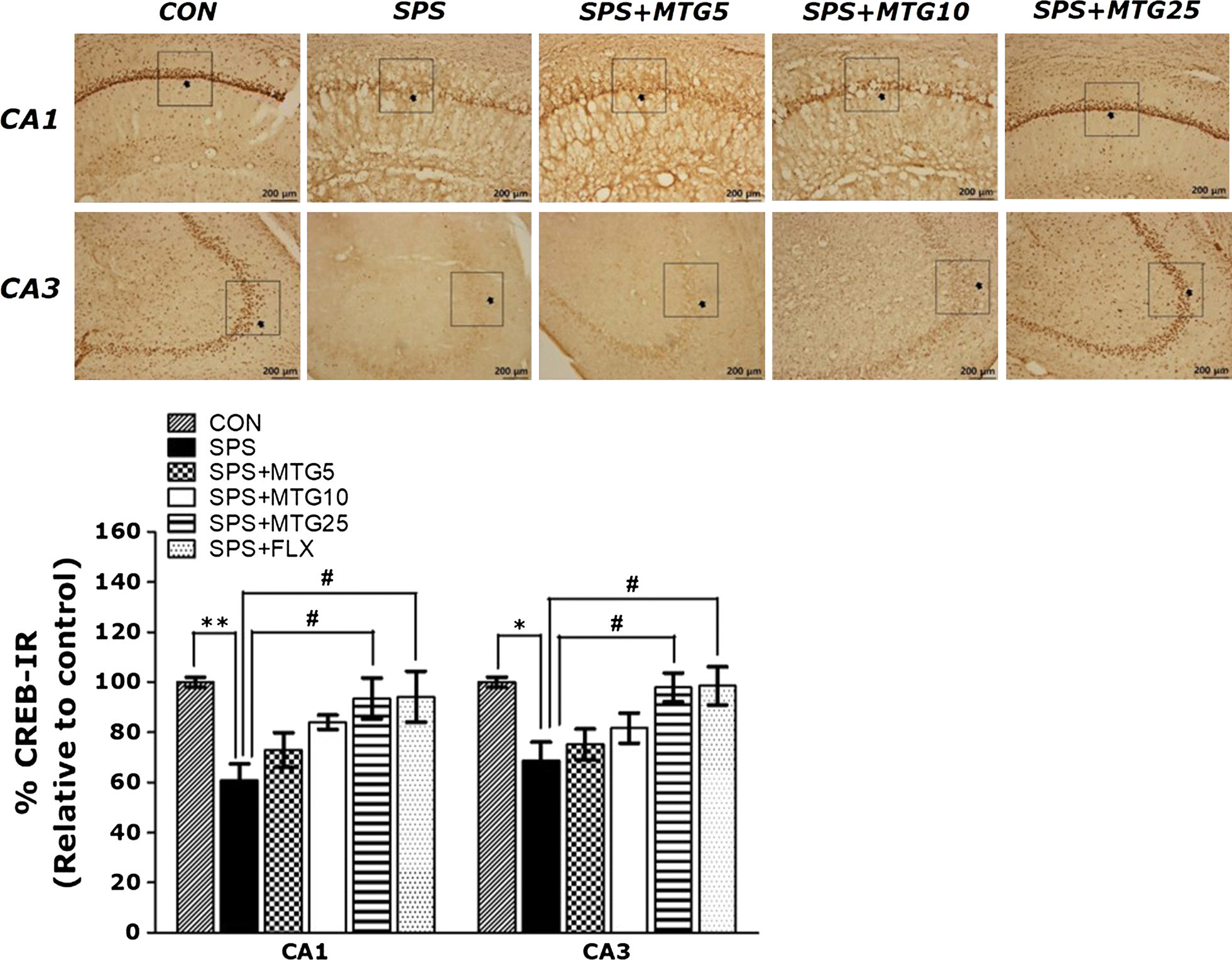 Fig. 6