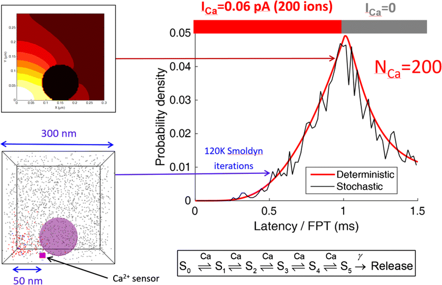 Fig. 1