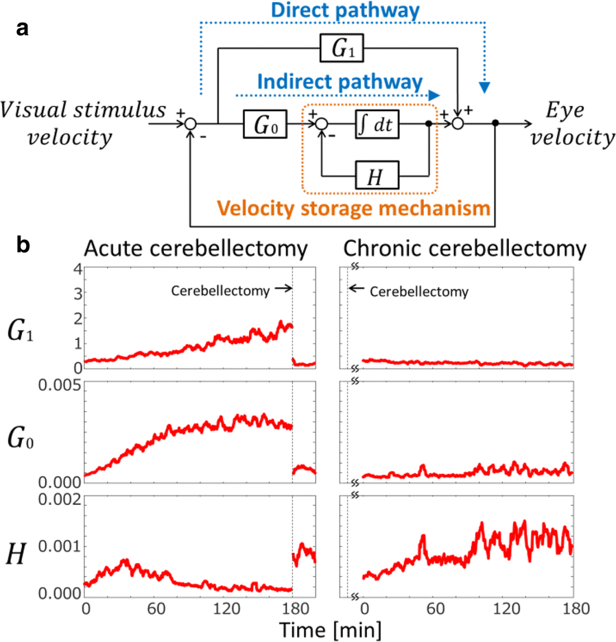 Fig. 1