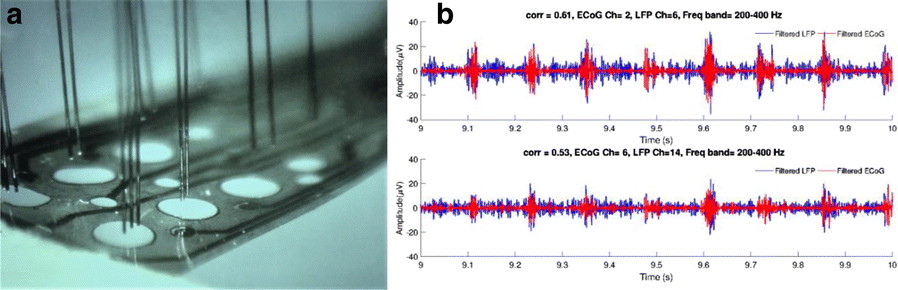 Fig. 1