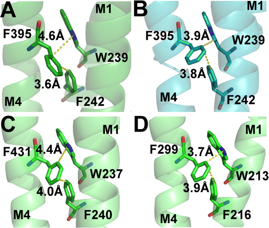 Fig. 7