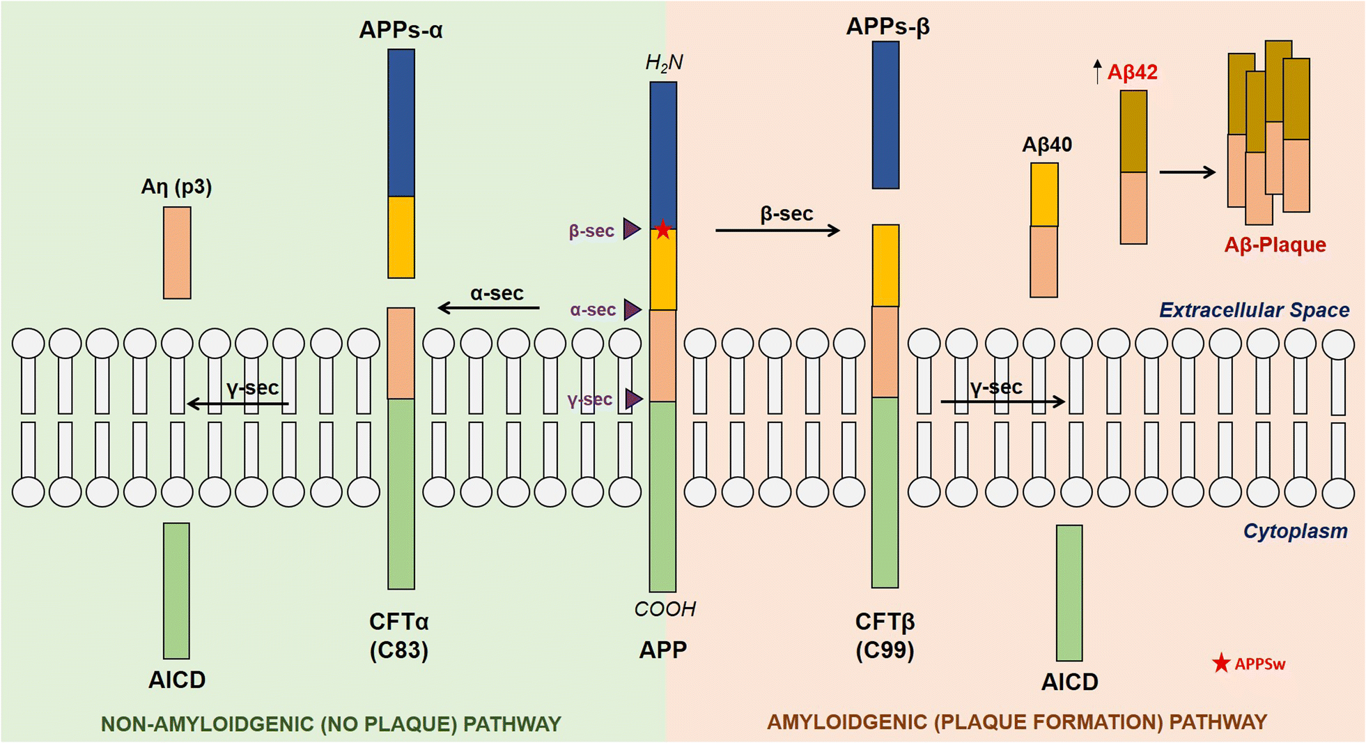 Fig. 3