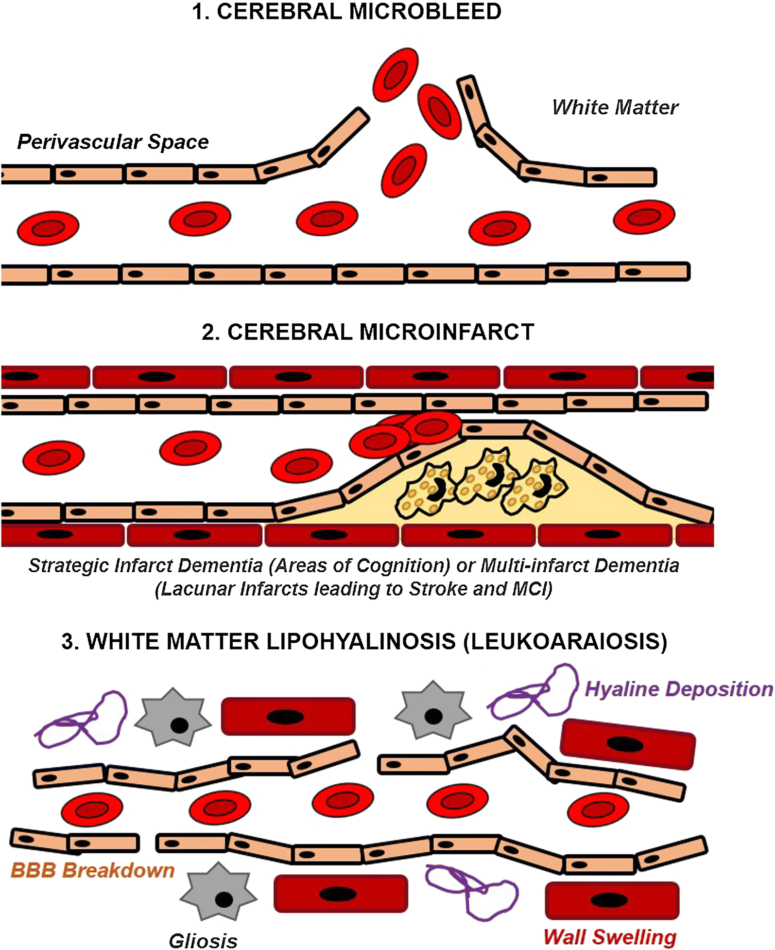 Fig. 5