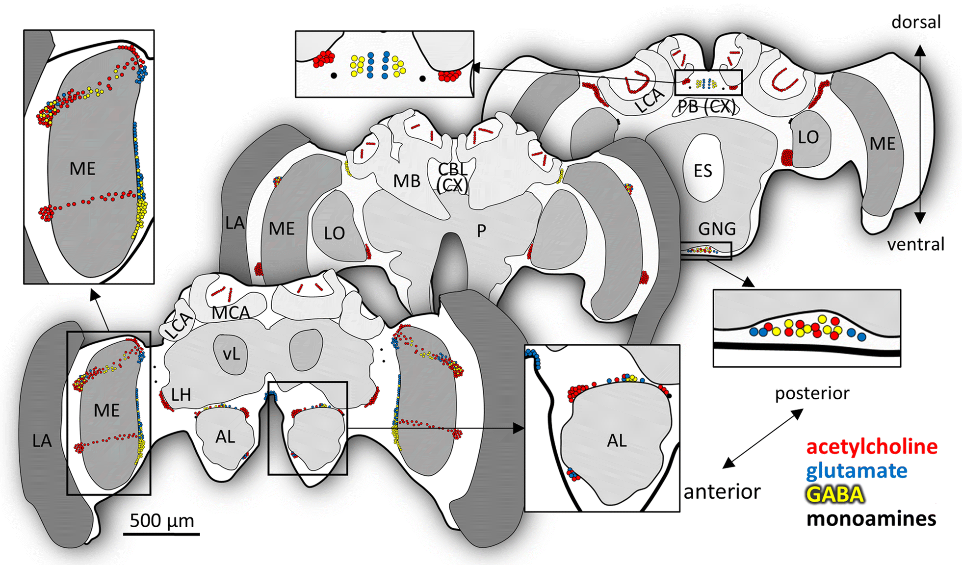 Fig. 13