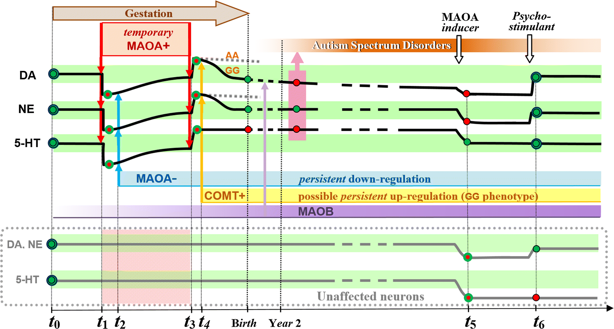 Fig. 1