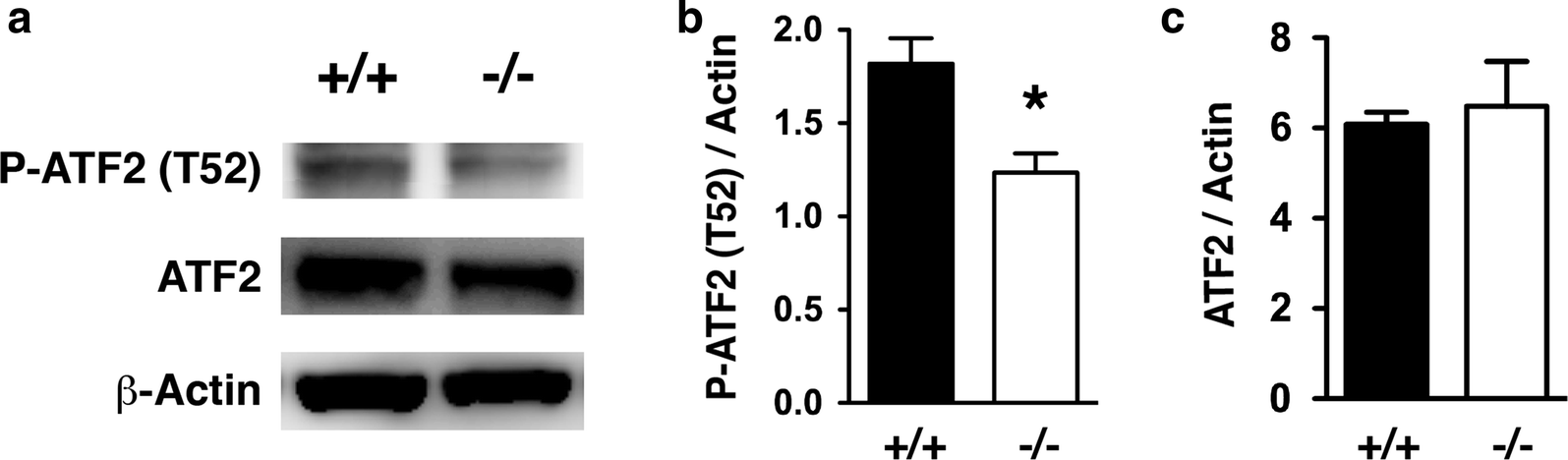 Fig. 1