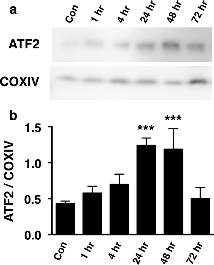 Fig. 3