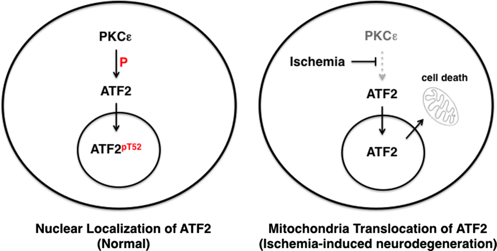 Fig. 8