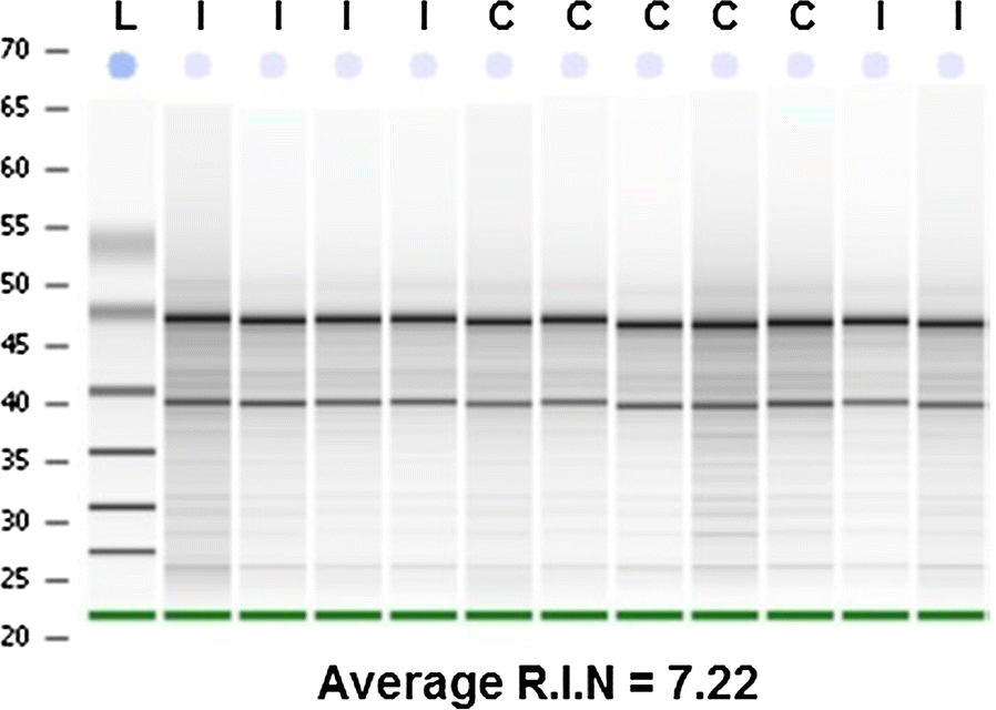 Fig. 6