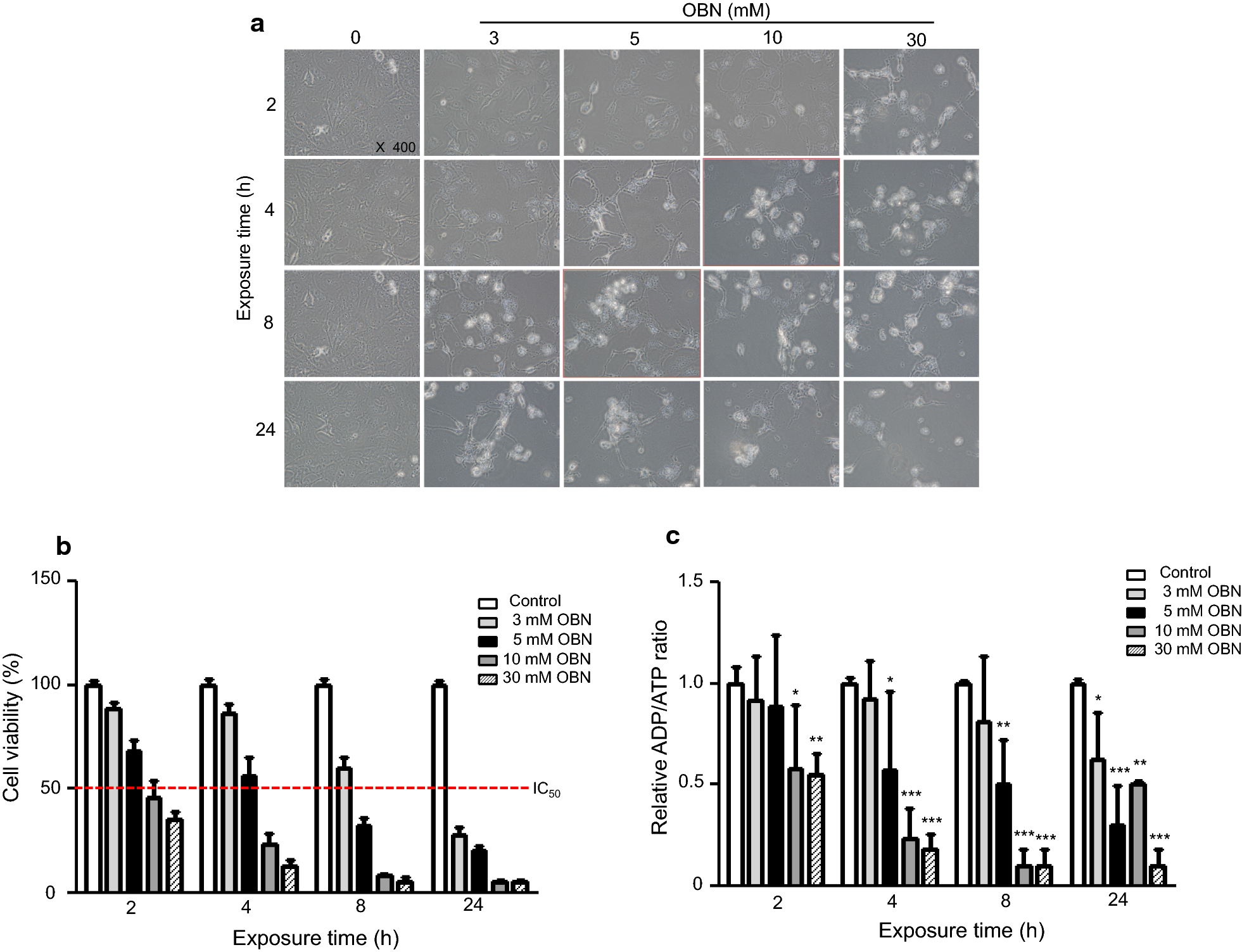 Fig. 2