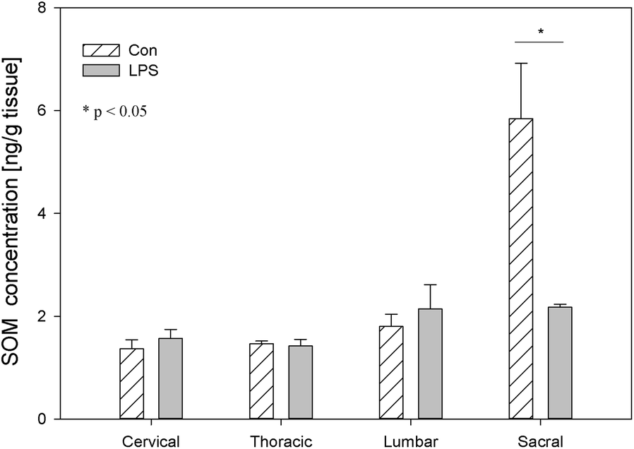 Fig. 10