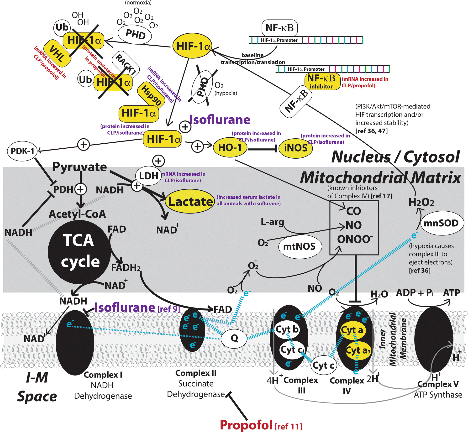 Fig. 7