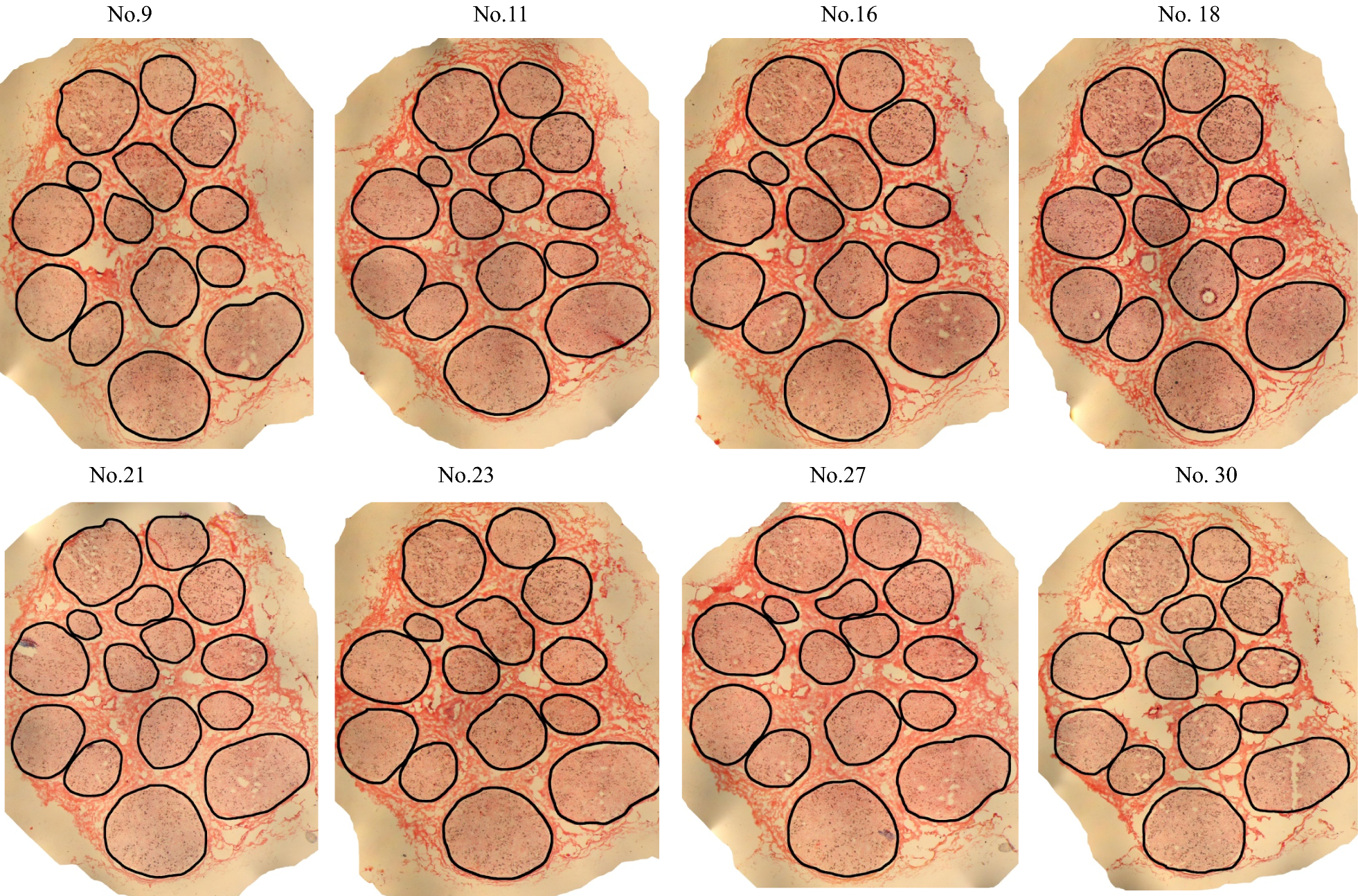 Fig. 6