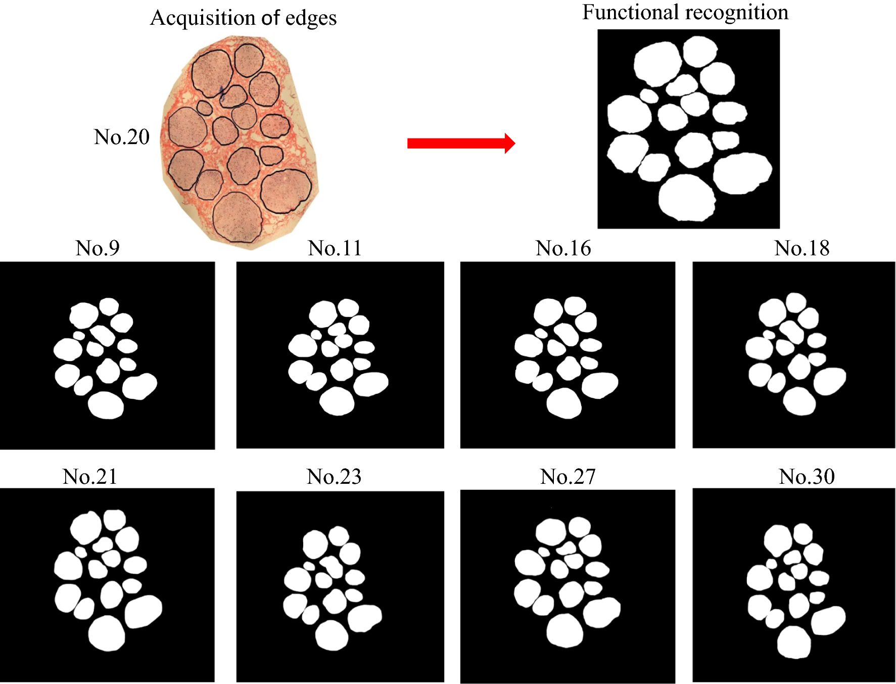 Fig. 7