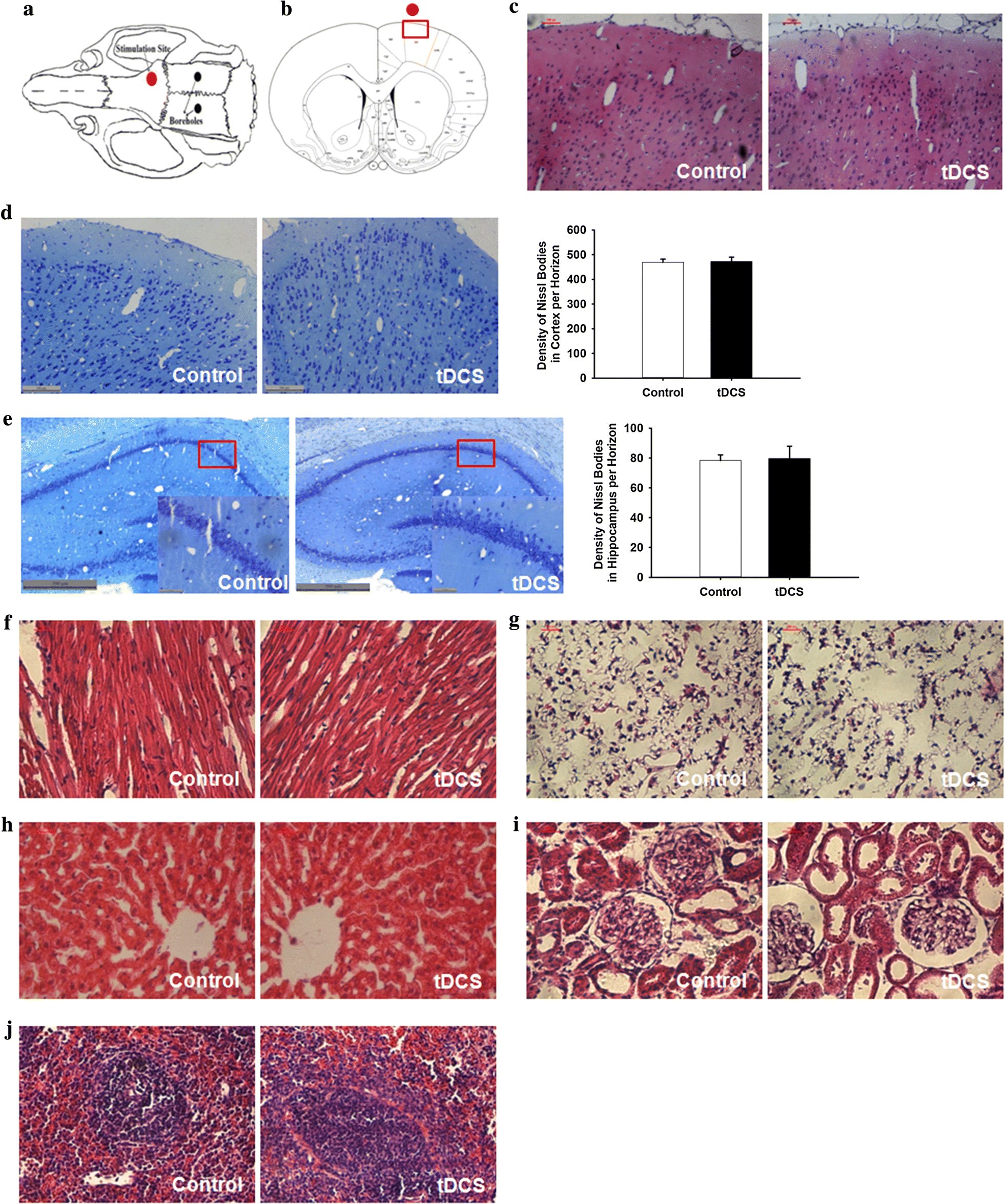 Fig. 4