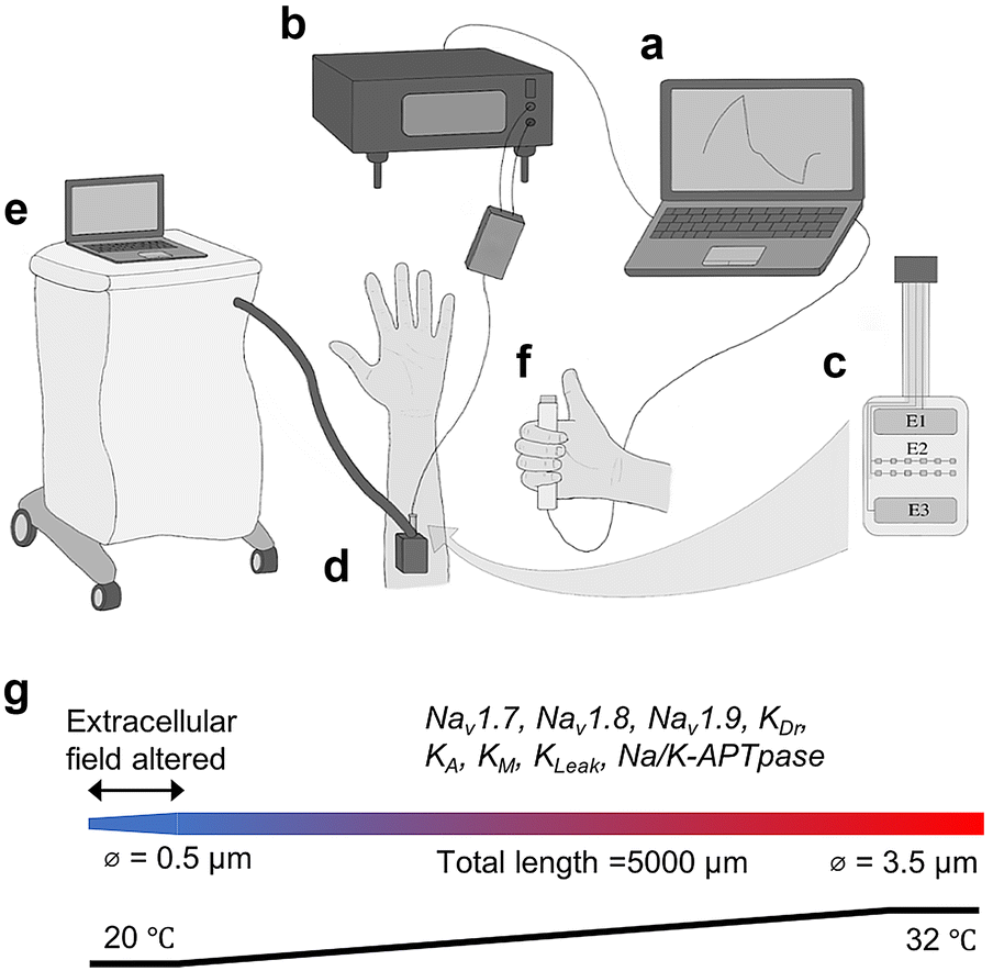 Fig. 1