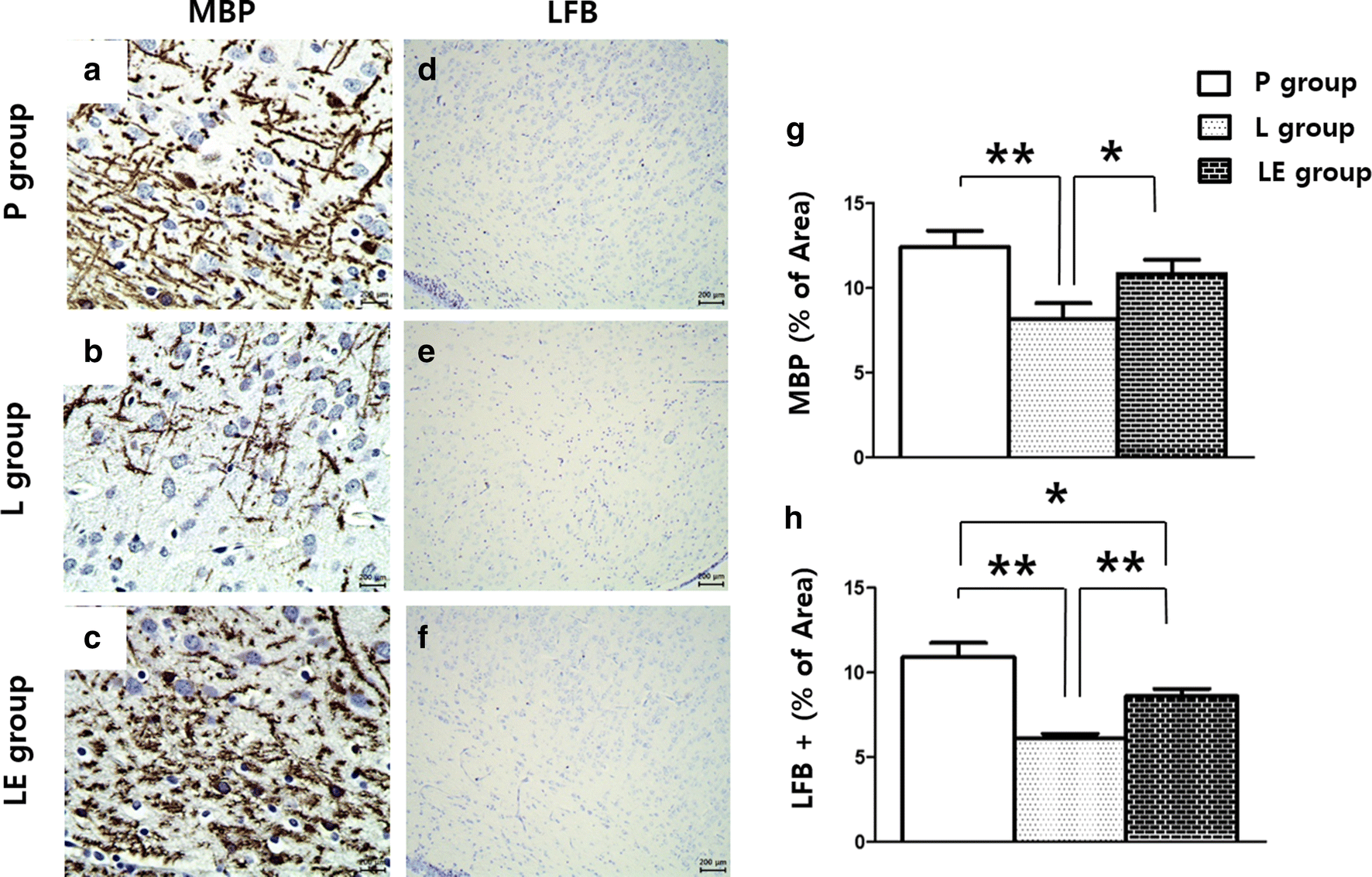 Fig. 6