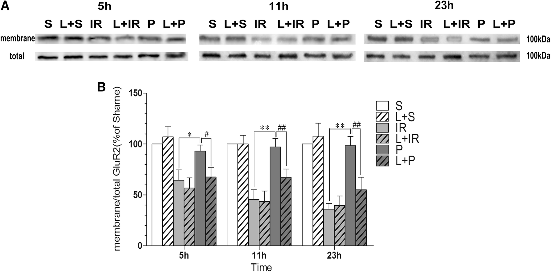 Fig. 4