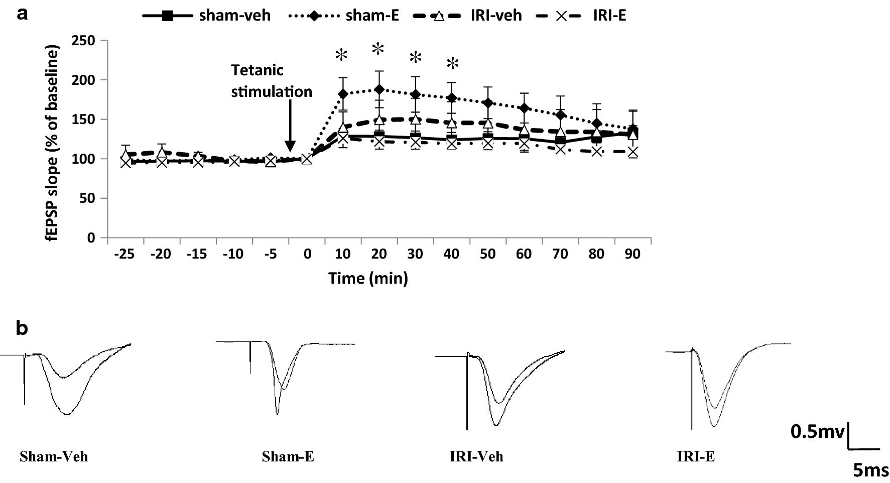 Fig. 3