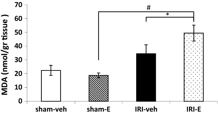 Fig. 6