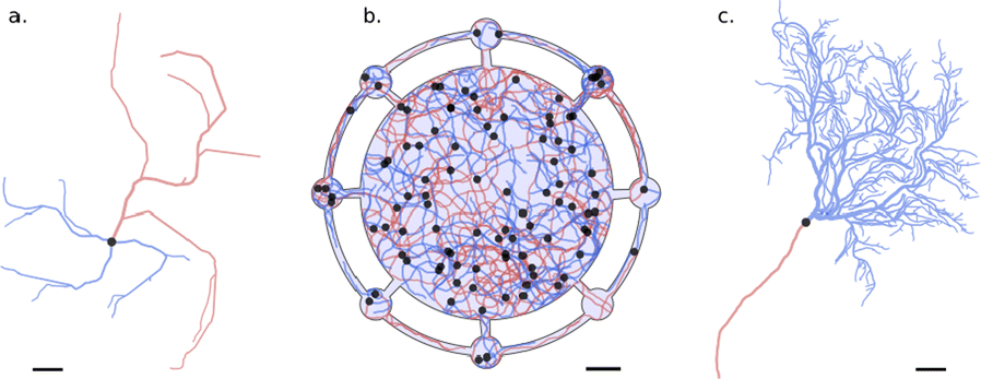 Fig. 1