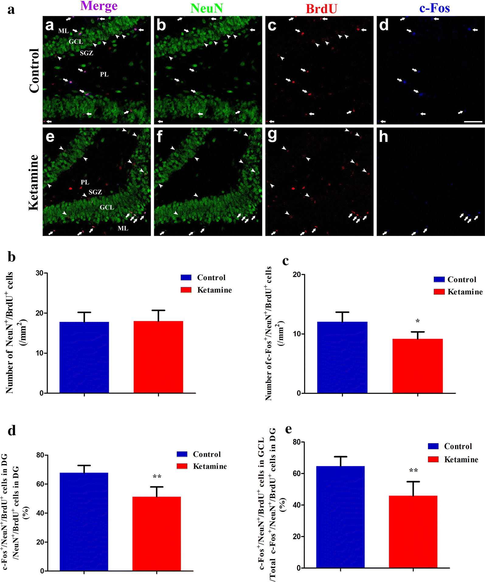 Fig. 4