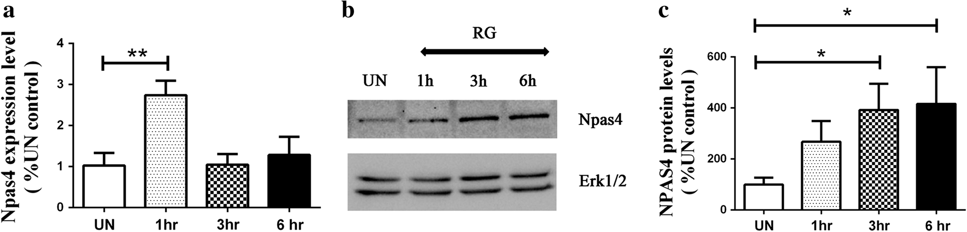 Fig. 5