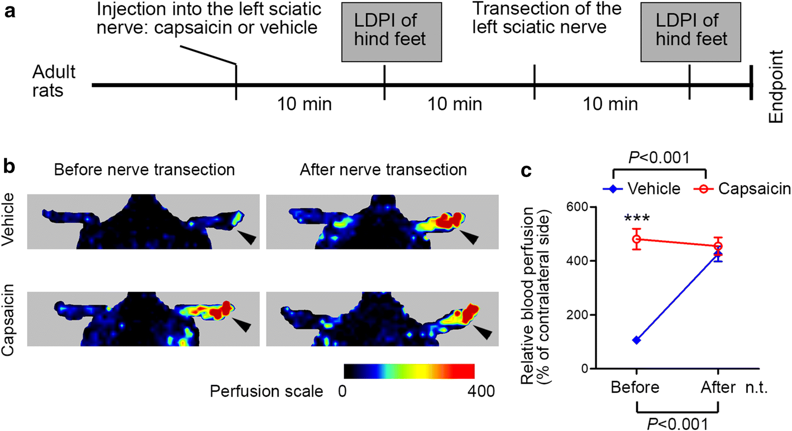 Fig. 5