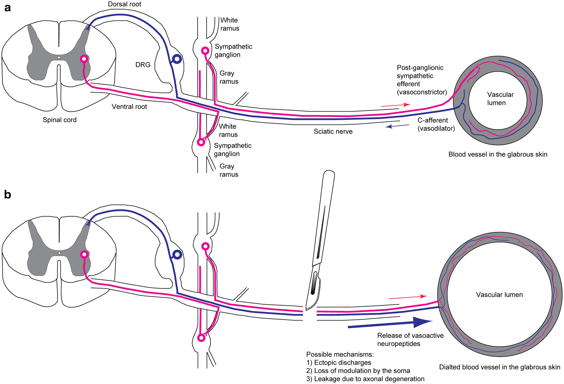 Fig. 6