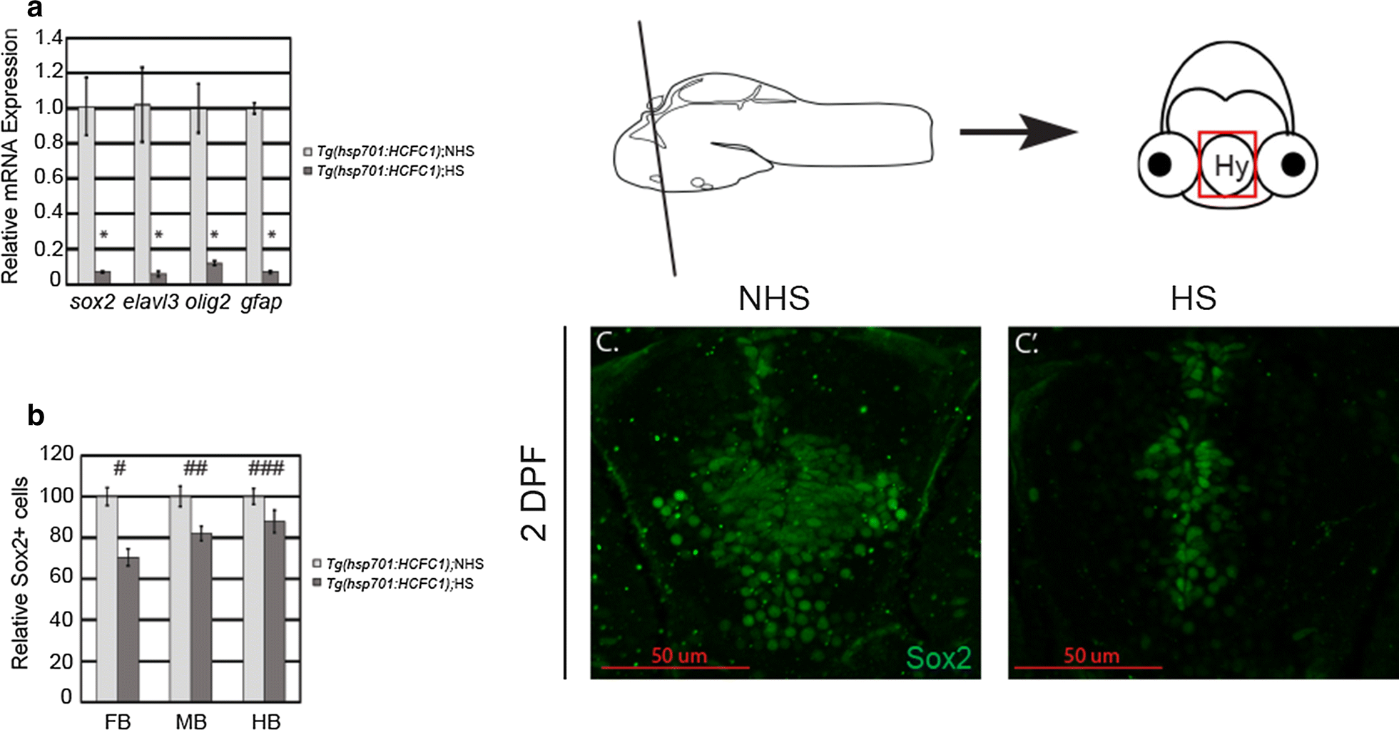 Fig. 6