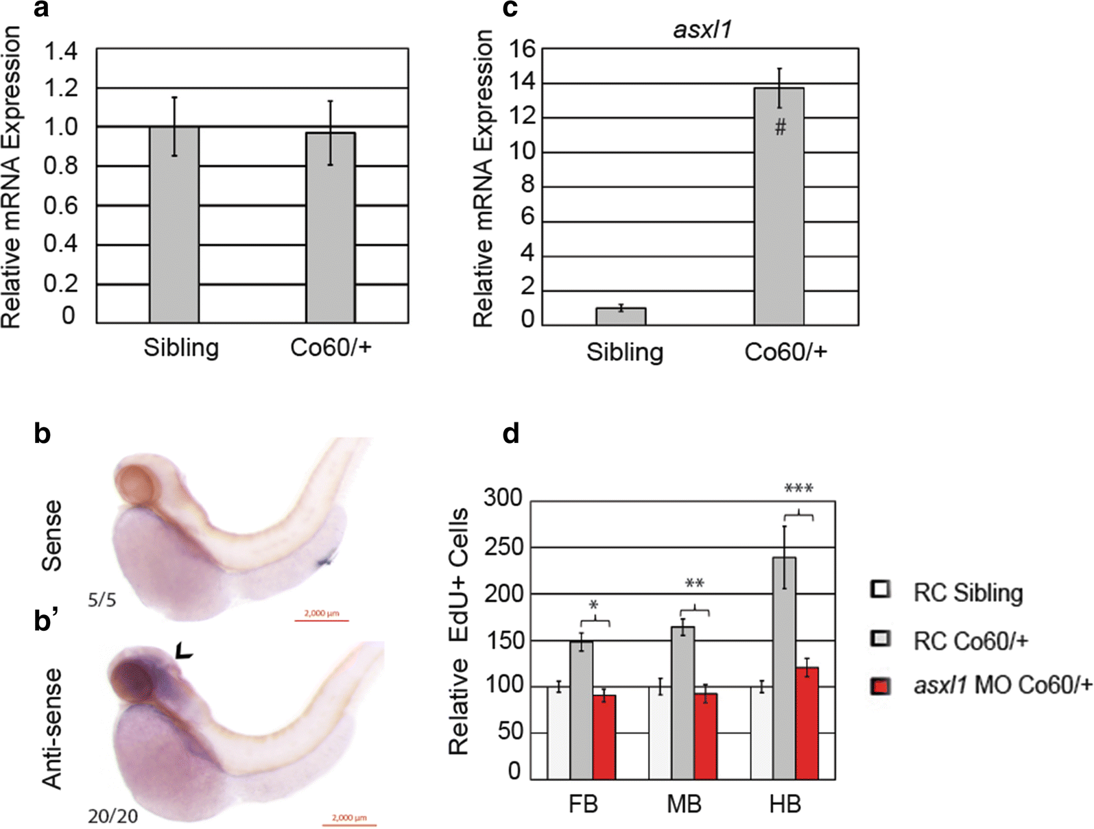 Fig. 7