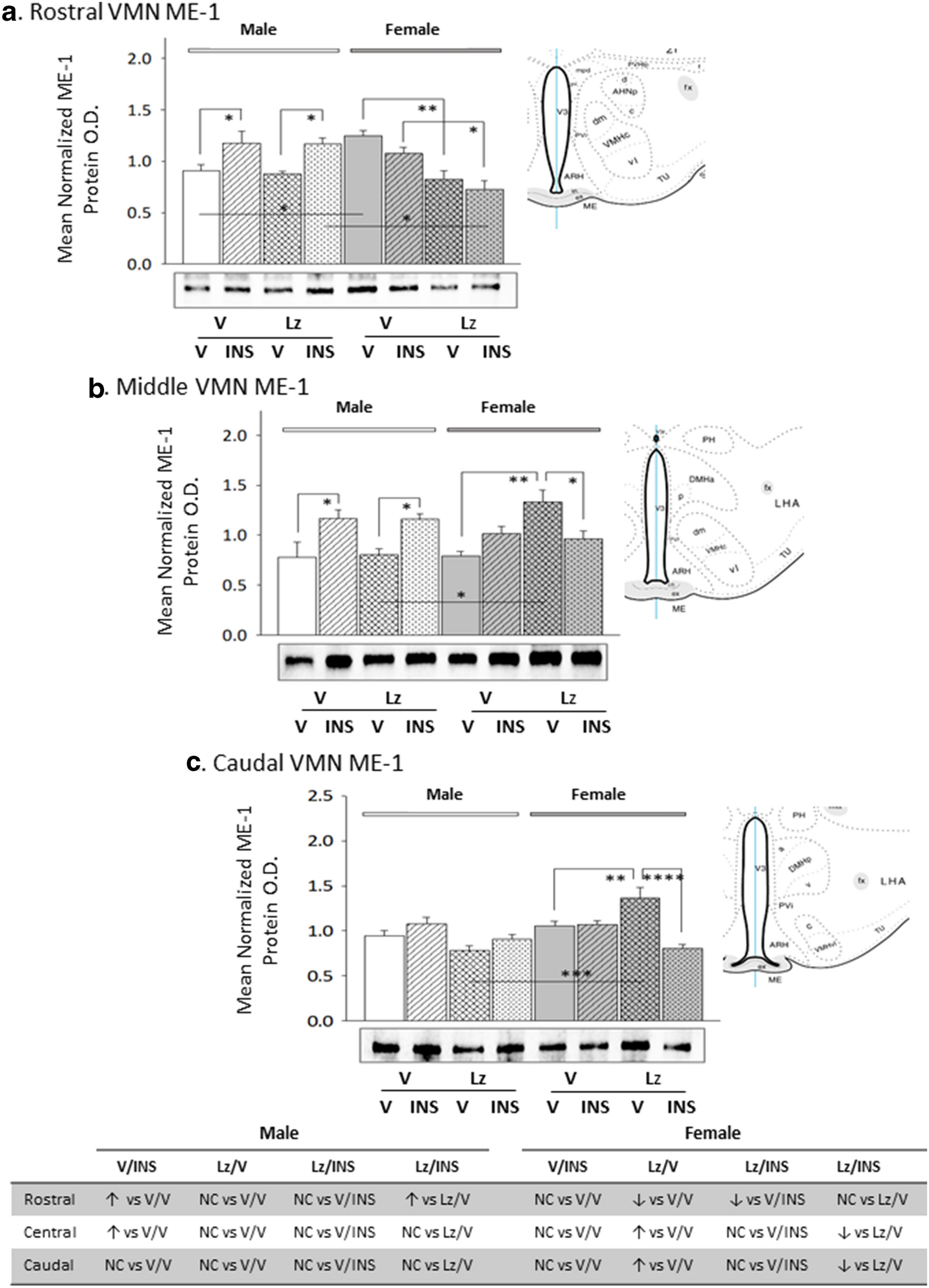 Fig. 8