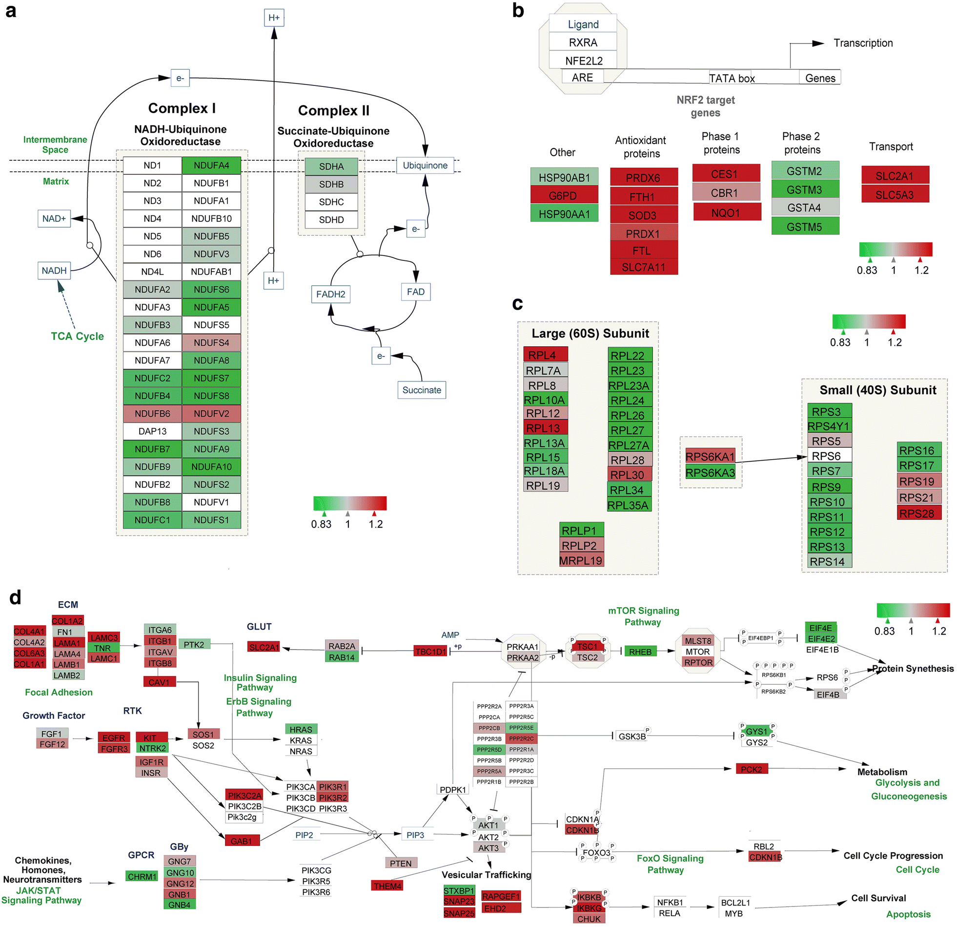 Fig. 4