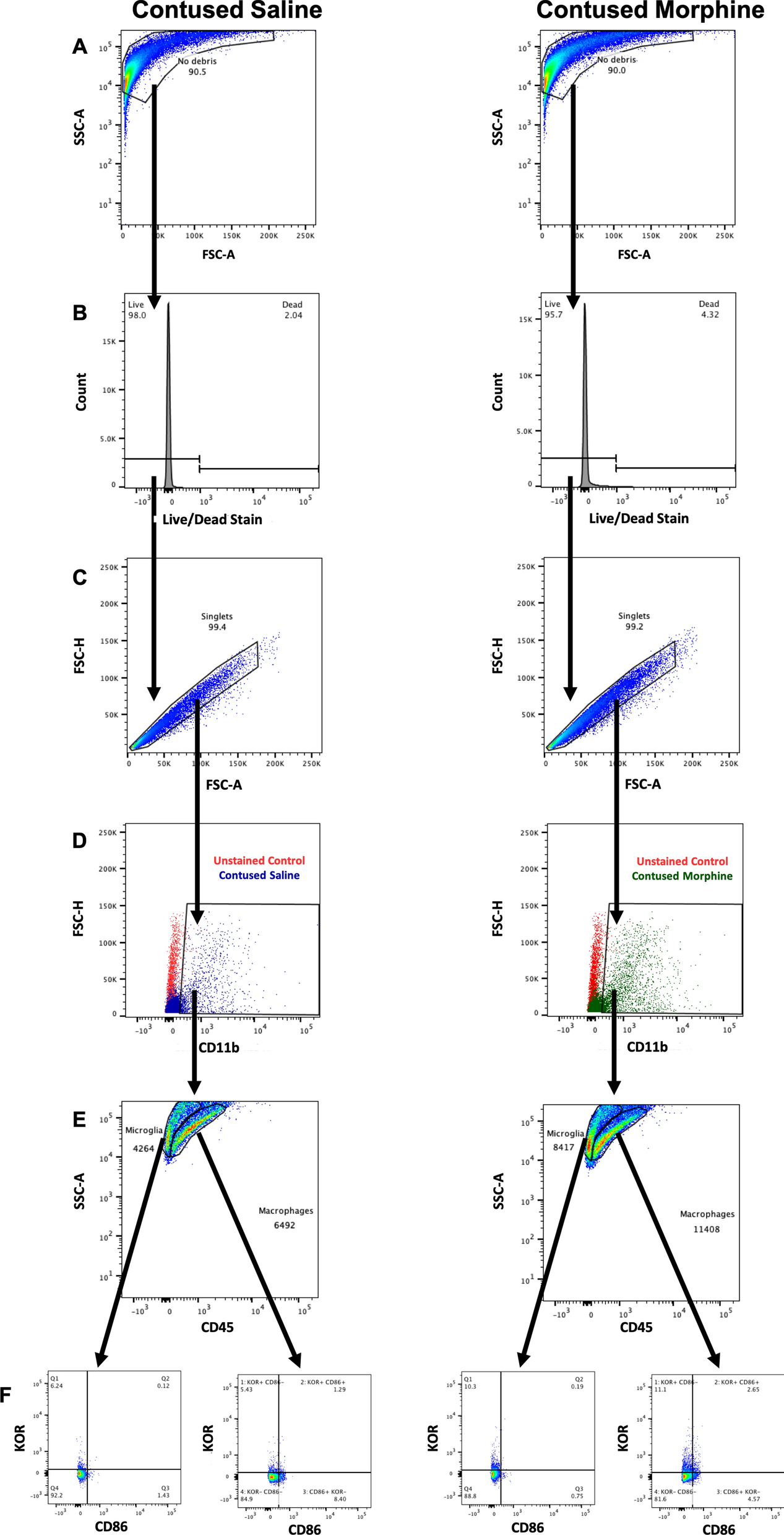 Fig. 2