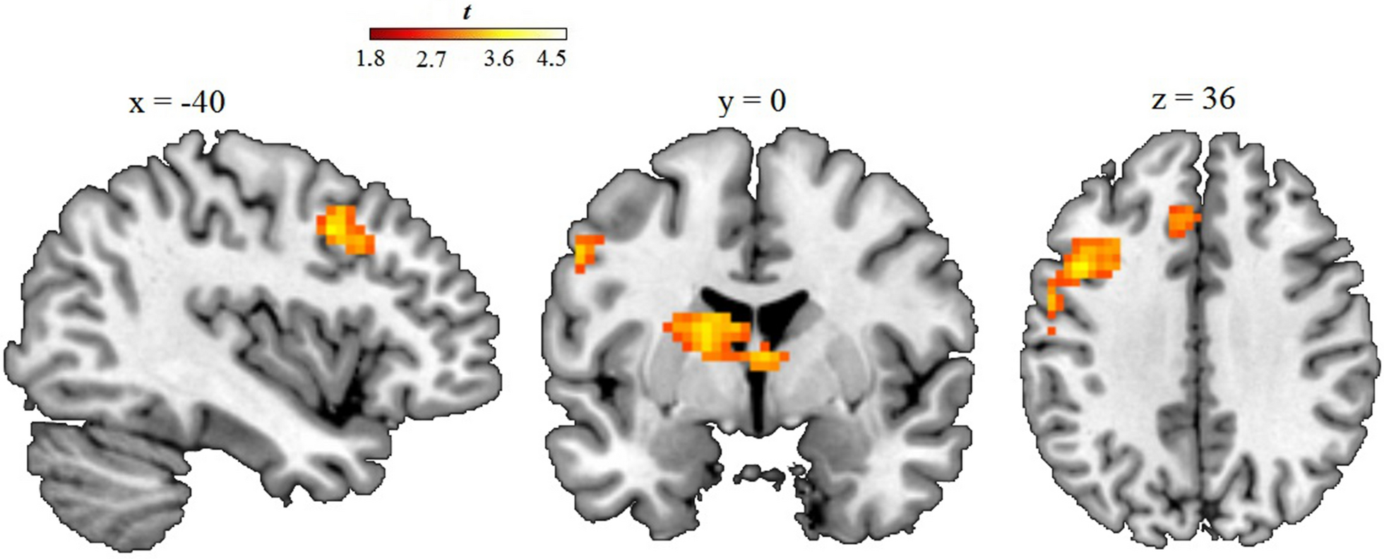 Fig. 2