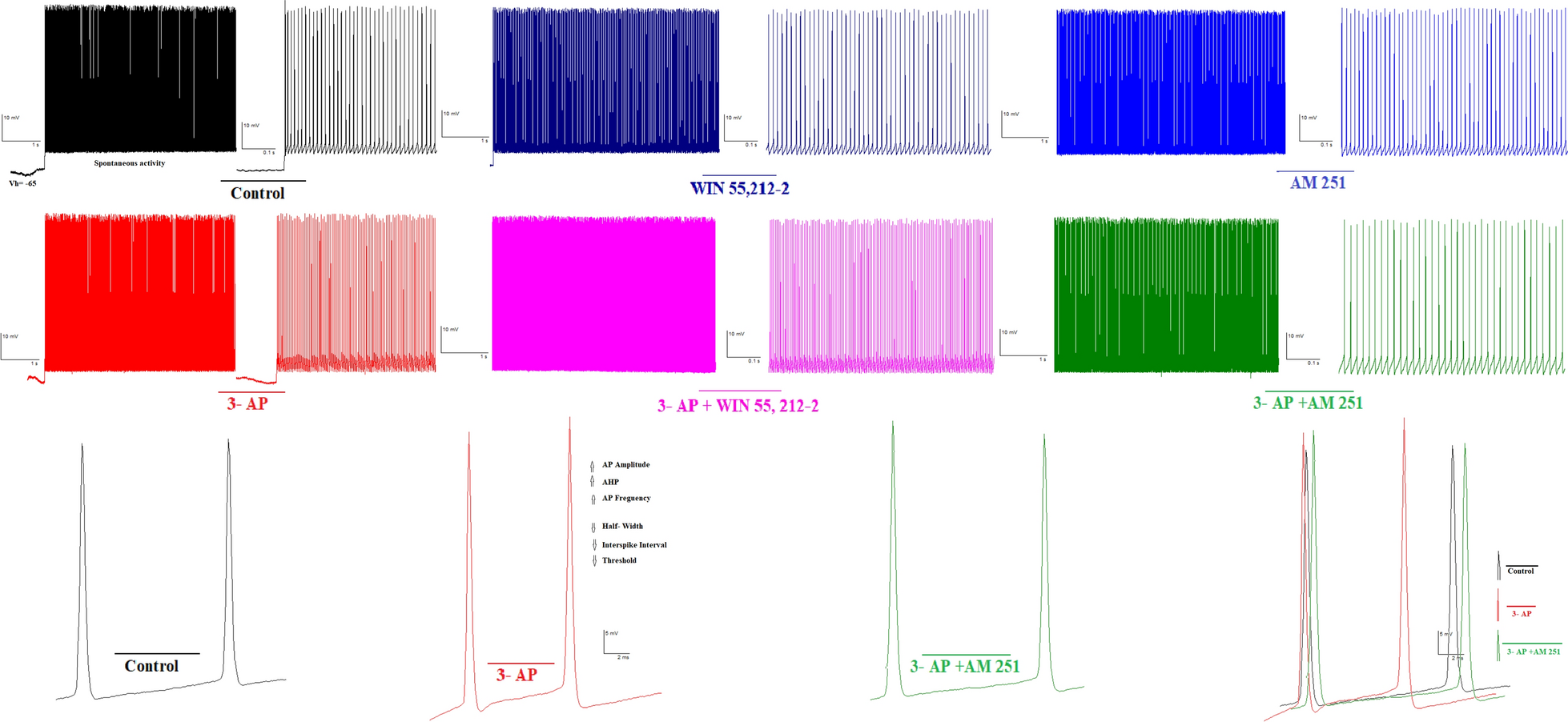 Fig. 3